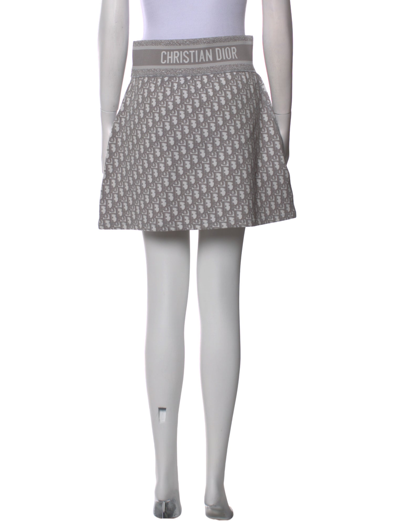 Christian Dior 2021 Mini Skirt